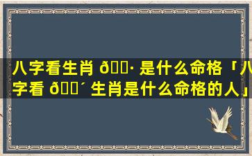 八字看生肖 🌷 是什么命格「八字看 🌴 生肖是什么命格的人」